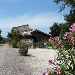 Bergerie Balbonne Bed & Breakfast Durban-Corbieres Exterior photo