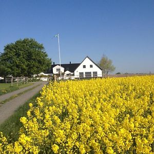 Arnhoeg Farm Aparthotel Borrby Exterior photo