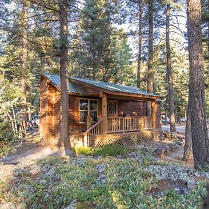 The Iris Cabin #1 At Blue Spruce Rv Park & Cabins Vallecito Exterior photo