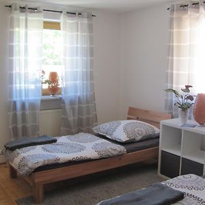 #6 Helles Sonniges Zimmer Mit 2 Betten,Sofa W-Lan Frei Airport Nah Gelegen Mit Wg Bad Apartment Trunkelsberg Exterior photo