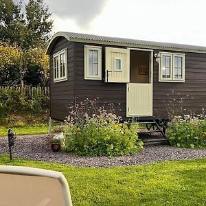 Cynefin Shepherds Hut Villa New Quay  Exterior photo