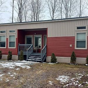 Secluded Lodge In The Woods. Iron Mountain Exterior photo