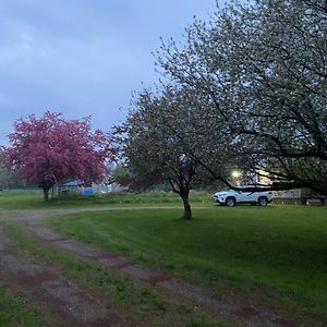 Farm House Villa Coldwater Exterior photo