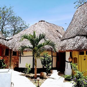 Hotel Y Museo Aldea Maya Toktli Origenes - Casa Maya Del Toloque Coronado - Alberca, Wifi Starlink, Tour Museo Izamal Exterior photo