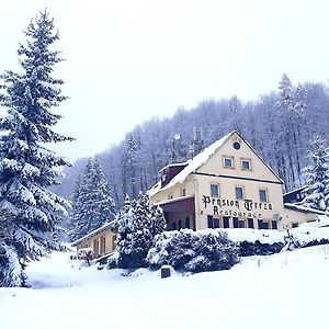 Penzion Tereza Hotel Telnice Exterior photo