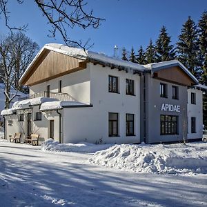 Penzion Apidae Hotel Destne v Orlickych horach Exterior photo