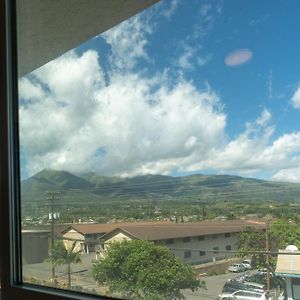 Unit 15 Maui Ohana Modern Studio Apartment Wailuku Exterior photo