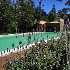 Con Piscina A 3 Cuadras De La Playa Villa Balneario Argentino Exterior photo