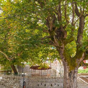 Helidona Hotel Mikro Chorio  Exterior photo