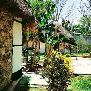 Hotel Y Museo Aldea Maya Toktli Origenes - Casa Maya Melipona - Alberca, Wifi Starlink, Tour Museo Izamal Exterior photo