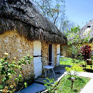 Hotel Y Museo Aldea Maya Toktli Origenes - Suite Casa Maya 3 Culturas - Alberca, Wifi Starlink, Tour Museo Izamal Exterior photo