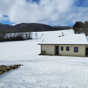 Le Martouret Villa La Chapelle-en-Vercors Exterior photo