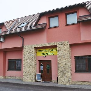 Penzion Carlos Hotel Podluzany  Exterior photo