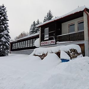 Penzion U Lipna Hotel Predni Vyton Exterior photo