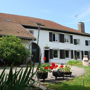 Chambre D'Hotes Kieffer Le Grand Bienfaisy Bed & Breakfast Remiremont Exterior photo