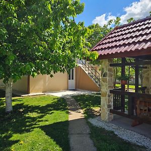 Calm Nest Apartment Niksic Exterior photo