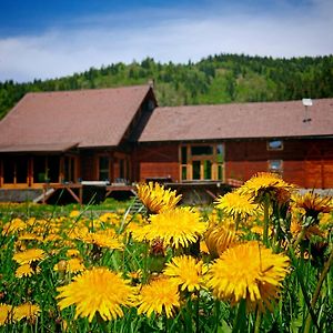 Crossline Lodge Gheorgheni  Exterior photo