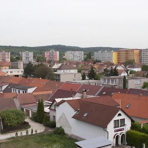 Hotel Terek Steti Exterior photo