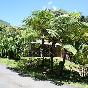 Natty Tropical Valley Hotel Roseau Exterior photo