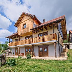 Eco Tourist Farm Kostanje Apartment Sevnica Exterior photo