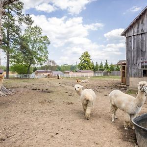 Watch Deer From A Farm Cottage Bel Air Exterior photo