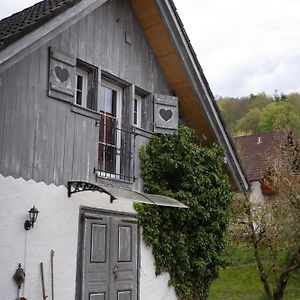 Wallys Huesli Im Schwarzwald Villa Uehlingen-Birkendorf Exterior photo