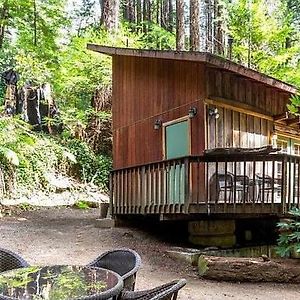 Lofted Studio Cabin In The Redwoods! Guest House Notleys Landing Exterior photo