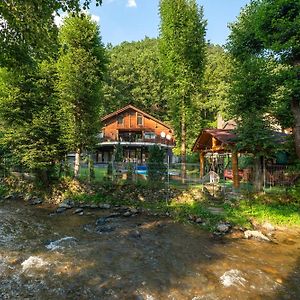 Gia Chalet Villa Frasinet Exterior photo