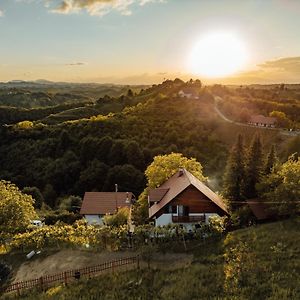 Cozy Family Place 'Hisa Grozdek' - Gruskovec 40A Villa Exterior photo