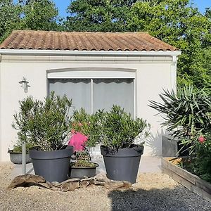 Studio Maisonnette Villa Vaux-sur-Mer Exterior photo