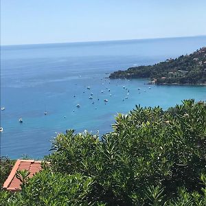 Il Mare Tra Gli Olivi Villa Ventimiglia Exterior photo