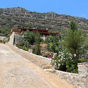 Istlada Tas Ev Apart - Kekova View Hotel Kapakli Exterior photo