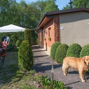 Ferienhaus In Alt-Schadow Mit Grill Und Terrasse Villa Markische Heide Exterior photo