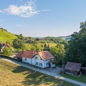 Family Friendly House Marija - Happy Rentals Gradisca Exterior photo