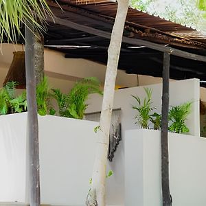 Nomadas Bacalar- Departamentos - Apartment Exterior photo