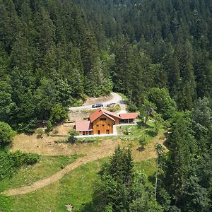 Vista Larix Chalet Villa Ljubno Exterior photo