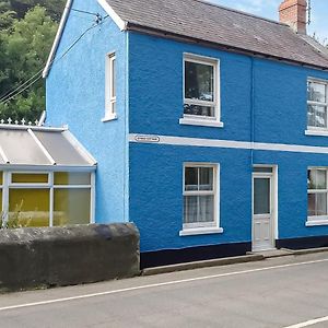 Synod Cottage Llandysul Exterior photo