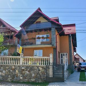 Casa Diana-Maria Apartment Curtea De Arges Exterior photo