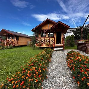 Baltina Parc Transfagarasan Villa Curtea De Arges Exterior photo