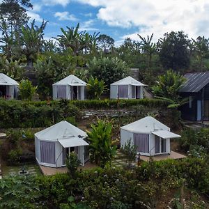 Alam Kita Glamping & Plantation Hotel Munduk  Exterior photo