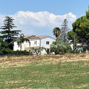 Masseria Novelli Bed & Breakfast Cassano allo Ionio Exterior photo