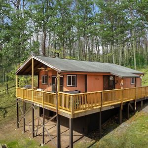 Modern Cabin W Hot Tub, Wifi & Huge Deck! Villa Hedgesville Exterior photo