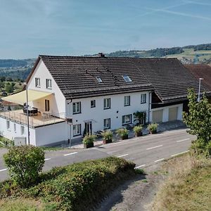 Familienfreundliche Wohnung Fuer 12 Und Mehr Gaeste, Nahe Zur Schweiz Waldshut-Tiengen Exterior photo