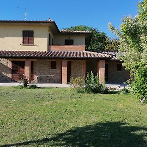 Il Boschetto Da Michael -Nocciolo Hotel Badia Al Pino Exterior photo