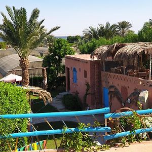 Tunis Camp El-Farsha Guest House Exterior photo