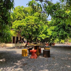 Dev Farm & Resort Sasan Gir Exterior photo