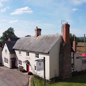 The Red Lion, Madley Hotel Hereford Exterior photo