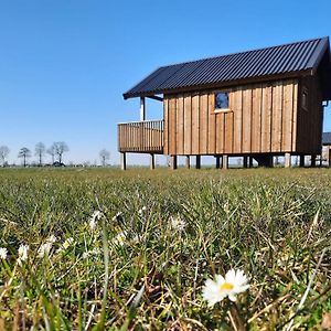 Nice Lodge With Unobstructed View In Drenthe Ruinerwold Exterior photo