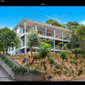 Treetop Beach House 3 Min Walk To Surf Beach Villa Coledale Exterior photo