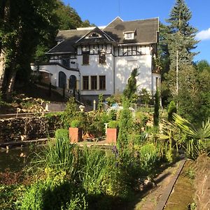 Le Petit Charme - Wohnen In Einer Historischen Villa Suhl Exterior photo